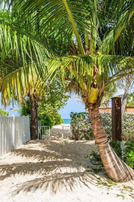 Beach Living At Island Pine Villas George Town Eksteriør billede